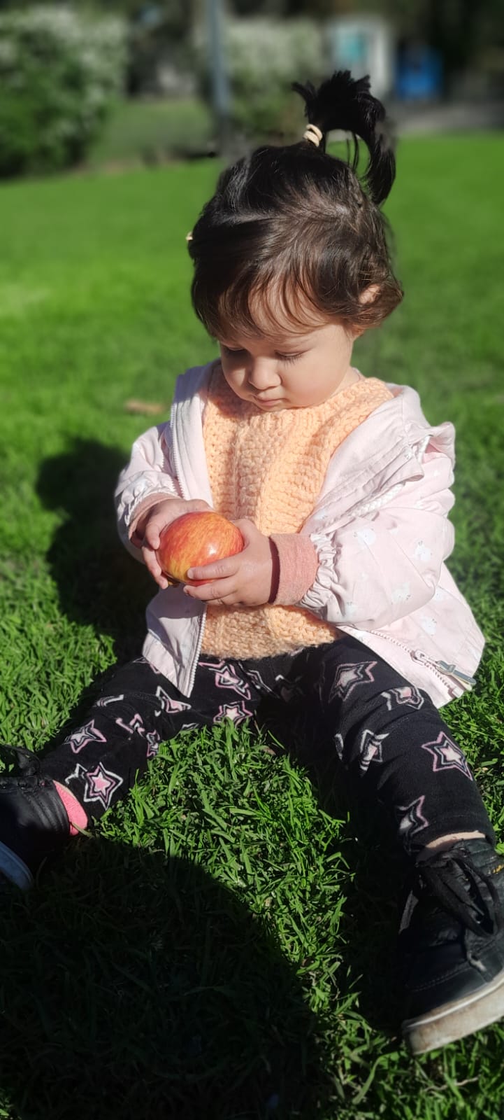 WhatsApp Image 2025-09-25 at 17.38.52.jpeg